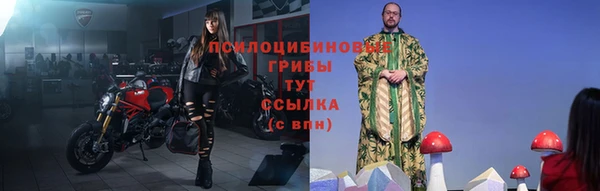 дурь Россошь